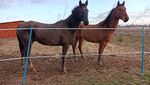 IMG_20220103_082749.jpg