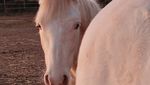 IMG_20220105_215327.jpg