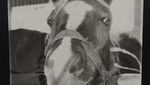 IMG_20220113_181841.jpg