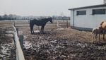 IMG_20220117_135518.jpg