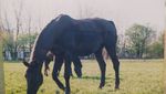 IMG_20220117_135437.jpg