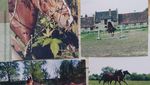 IMG_20220117_135417.jpg
