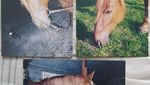 IMG_20220117_135359.jpg