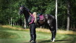 Czaprak-Plum-Rose-Gold-VS-Jump-Equito--3.jpg