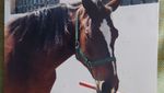 IMG_20220117_141402.jpg