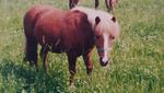 IMG_20220117_135029.jpg