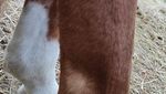 IMG_20220315_150118.jpg