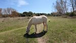 IMG_20220402_140625.jpg