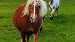 IMG_20210523_203146.jpg