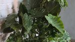 20220903_094818.jpg
