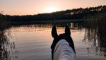 IMG-20220829-WA0012.jpg