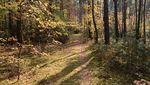 IMG_20221015_124039.jpg