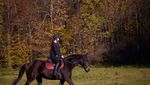 IMG-20221102-WA0009.jpg