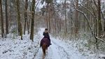 IMG-20221121-WA0007.jpg