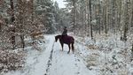 IMG-20221121-WA0003.jpg