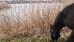 IMG_20230330_162918.jpg