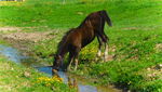 DSCN8622.JPG