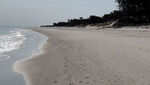 IMG_1977.jpeg