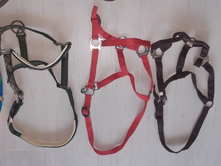 Kantary, pony, full