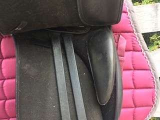 Wintec dressage 250
