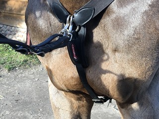 Czarny Napierśnik z wytokiem Equipe