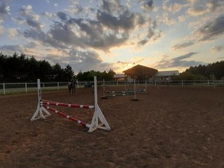 Pensjonat dla koni - Jaworzno/Śląsk