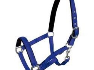 Kantar York Fluo niebieski pony cob full