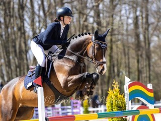 Trening koni i jeźdźców - Warszawa i okolice