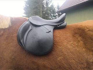 Oferuję usługę dopasowania siodeł (saddle fitting)