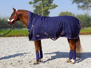 Ciepła derka padokowa Aristo High Neck 250g przeciwdeszczowa, wysoka szyja 155 cm