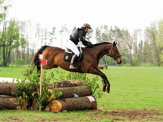 Trening Koni i Jeźdźców