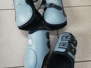 Veredus Olympus L szare