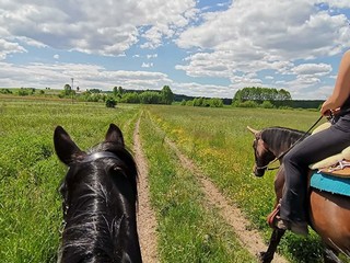 Ferie w siodle dla zaawansowanych jeźdźców