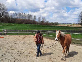 Trening koni- wakacje w siodle - trening indywidualny