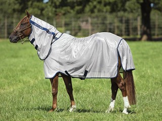 NOWE derki rozmiar 110, 110, 115 Horseware Ireland