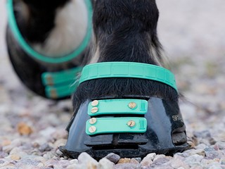 Buty dla konia Scootboot Classic - dobierzemy dla Was rozmiar