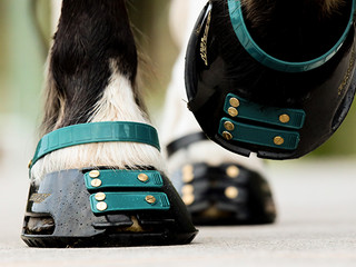 Buty dla konia Scootboot Classic - dobierzemy dla Was rozmiar