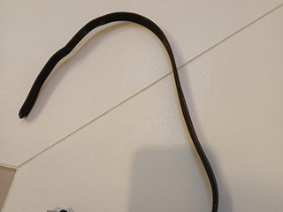 Skośnik czarny pony