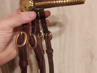 Prezenterka na młode klacze walijskie i klacze szetlandzkie standard.