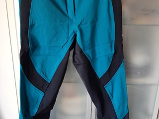 Bryczesy Premier Equine roz. 38