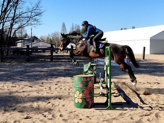 Treningi dosiadowe RWYM, Rider Ability, terening koni, zajeżdżanie, korekta trudnych i problematycznych koni, trening skokowy