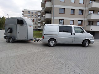 Transport koni