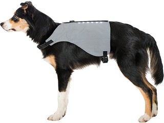 derka dla psa, Steeds LED Shine, 31 cm, używana (1)