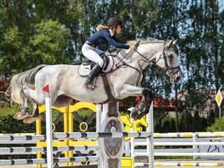 Przyjmę konia lub kuca w trening