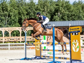Treningi indywidualne na prywatnym koniu z instruktorem PZJ