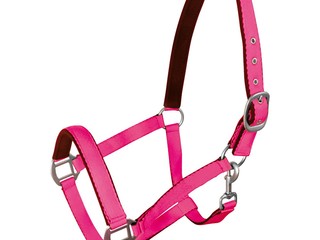 Kantar York Fluo różowy pony, cob lub full