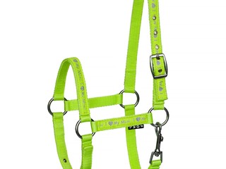 Kantar START ILoveMyMini zielony foal źrebięcy
