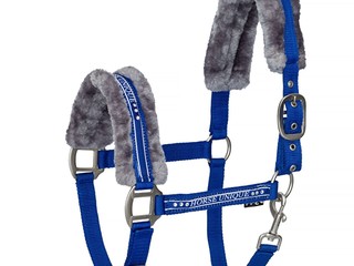 Kantar START Elegance royal blue-grey Pony i Full niebieski z futerkiem