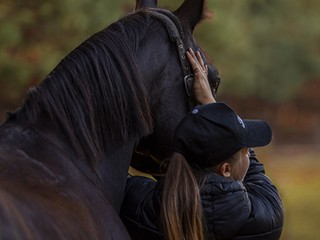 Zoofizjoterapia - Rehabilitacja, trening