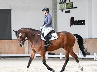 Trening koni i jeźdźców